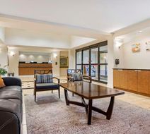 Quality Inn & Suites Reliant Park Lobby