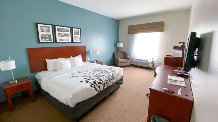 Sleep Inn & Suites Hotel Room