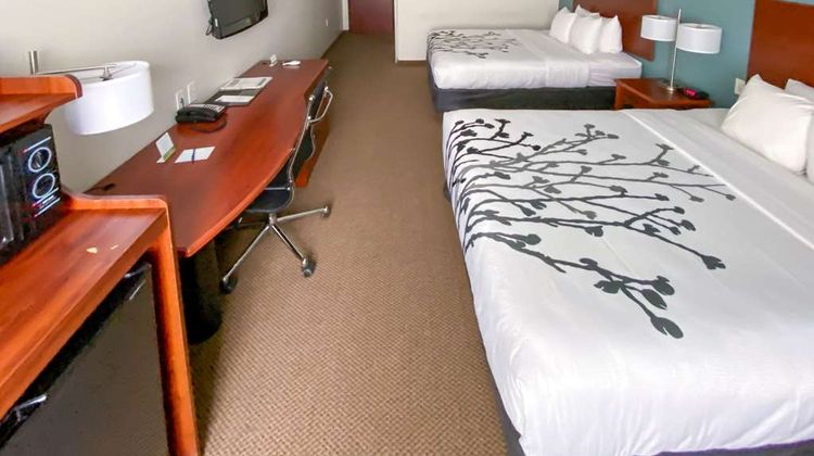 Sleep Inn & Suites Hotel Room