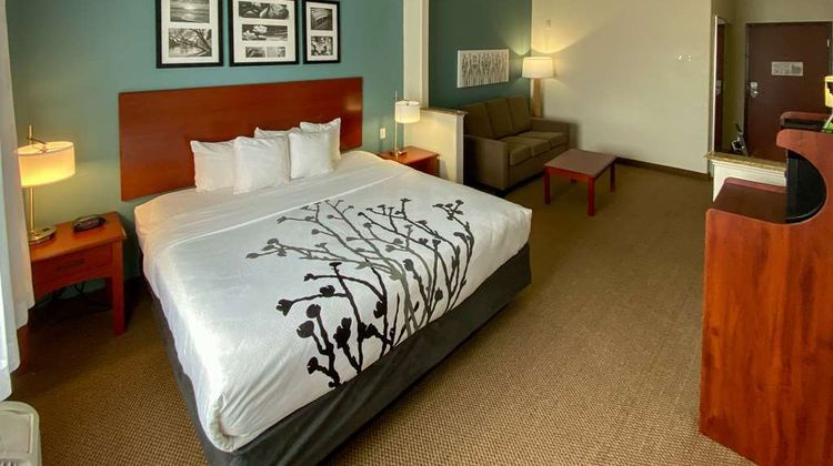 Sleep Inn & Suites Hotel Suite