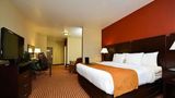 Comfort Suites Bay City East Suite