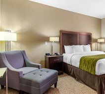 Comfort Inn and Suites Lakeside Room