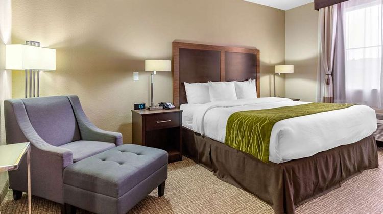 Comfort Inn and Suites Lakeside Room