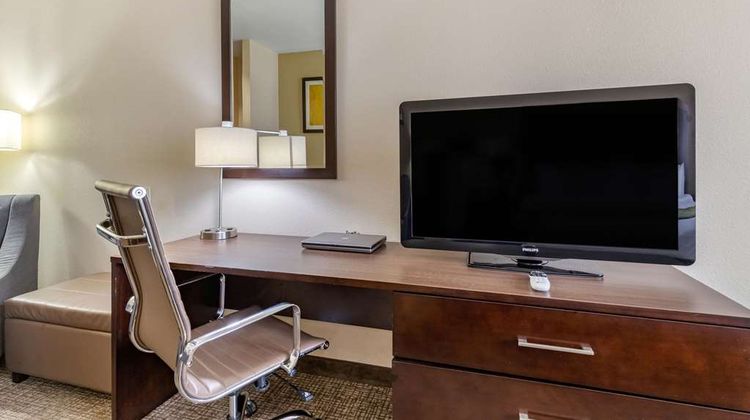 Comfort Inn and Suites Lakeside Suite