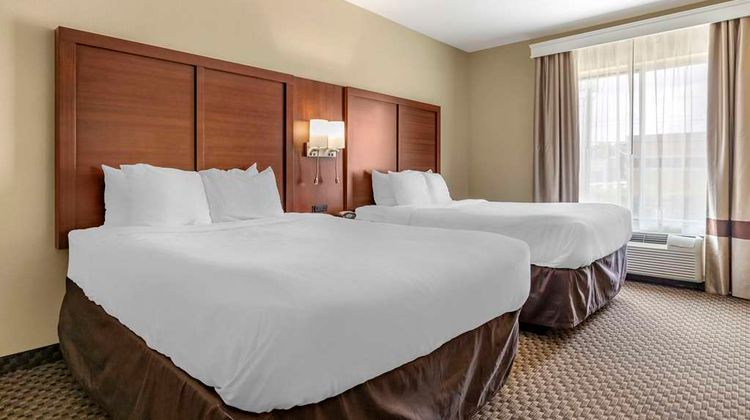 Comfort Suites NW Near Six Flags Room
