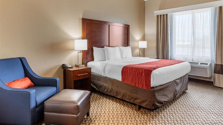 Comfort Inn and Suites Navasota Room