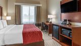 <b>Comfort Inn and Suites Navasota Room</b>. Images powered by <a href="https://iceportal.shijigroup.com/" title="IcePortal" target="_blank">IcePortal</a>.