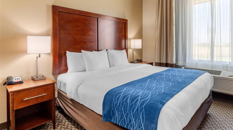 Comfort Inn and Suites Navasota Suite