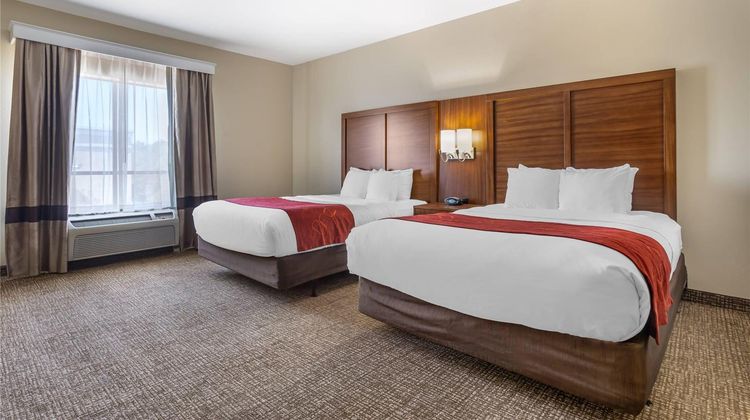 Comfort Suites Suite