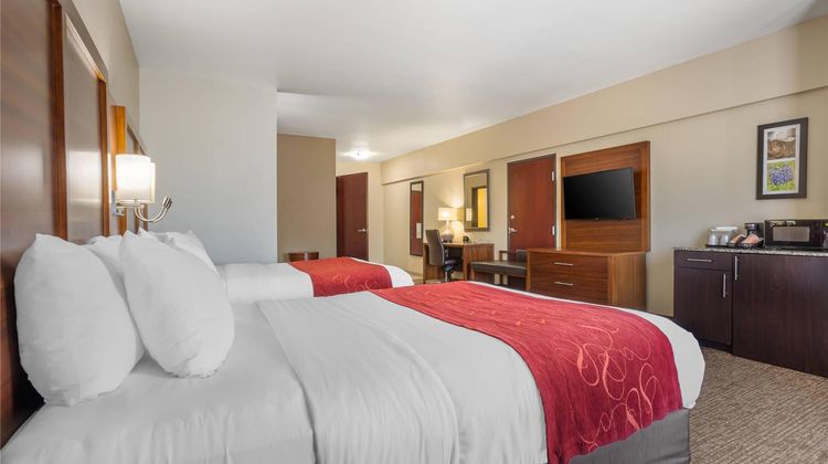 Comfort Suites Suite