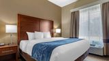 Comfort Inn And Suites Paris Suite