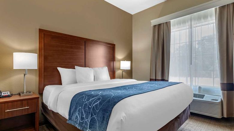 <b>Comfort Inn And Suites Paris Suite</b>. Images powered by <a href="https://iceportal.shijigroup.com/" title="IcePortal" target="_blank">IcePortal</a>.