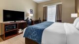 Comfort Inn And Suites Paris Room