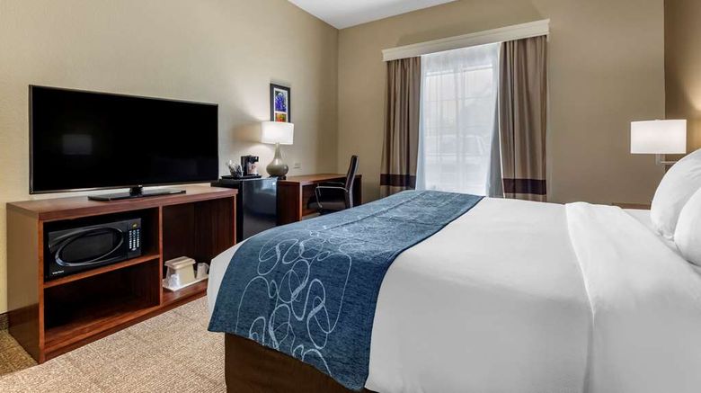 <b>Comfort Inn And Suites Paris Room</b>. Images powered by <a href="https://iceportal.shijigroup.com/" title="IcePortal" target="_blank">IcePortal</a>.