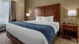 Comfort Inn And Suites Paris Room