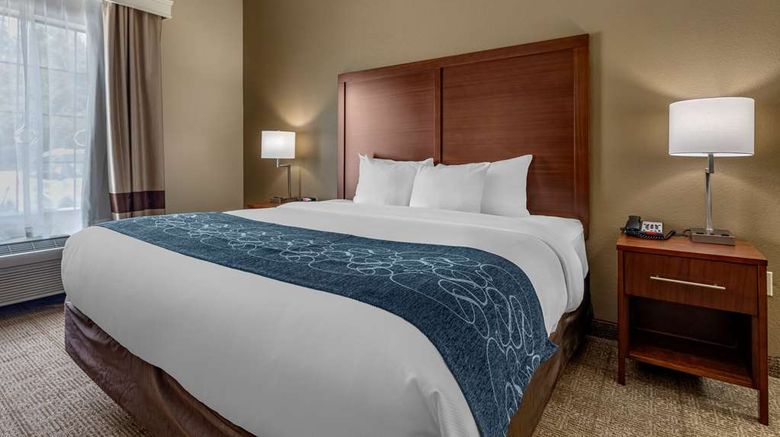 <b>Comfort Inn And Suites Paris Room</b>. Images powered by <a href="https://iceportal.shijigroup.com/" title="IcePortal" target="_blank">IcePortal</a>.