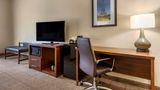 Comfort Inn And Suites Paris Suite