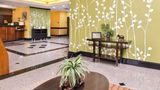 Sleep Inn & Suites near Downtown North Lobby