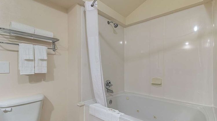 Quality Inn & Suites West Chase Room