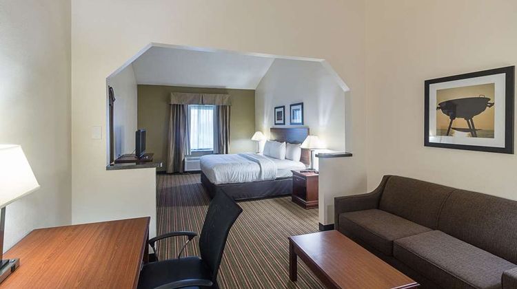 Quality Inn & Suites West Chase Room