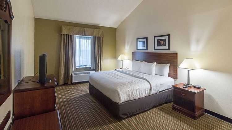 Quality Inn & Suites West Chase Room