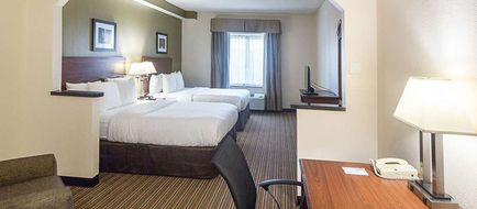 Quality Inn & Suites West Chase Room