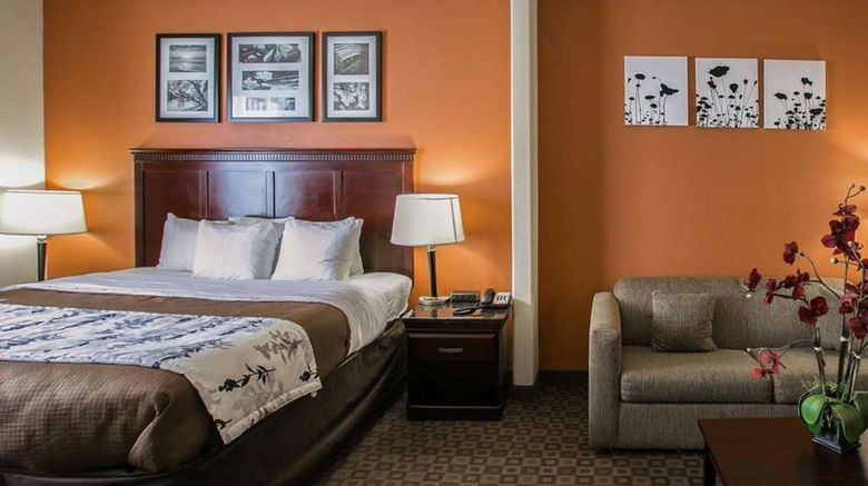 <b>Sleep Inn & Suites Hwy 290/NW Freeway Suite</b>. Images powered by <a href="https://iceportal.shijigroup.com/" title="IcePortal" target="_blank">IcePortal</a>.