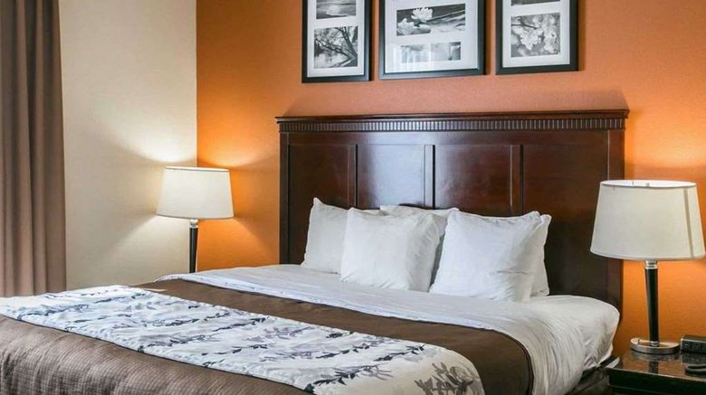 <b>Sleep Inn & Suites Hwy 290/NW Freeway Suite</b>. Images powered by <a href="https://iceportal.shijigroup.com/" title="IcePortal" target="_blank">IcePortal</a>.