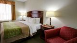 Quality Inn Rockdale, TX Room
