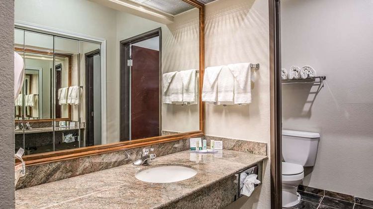 Quality Inn & Suites Room