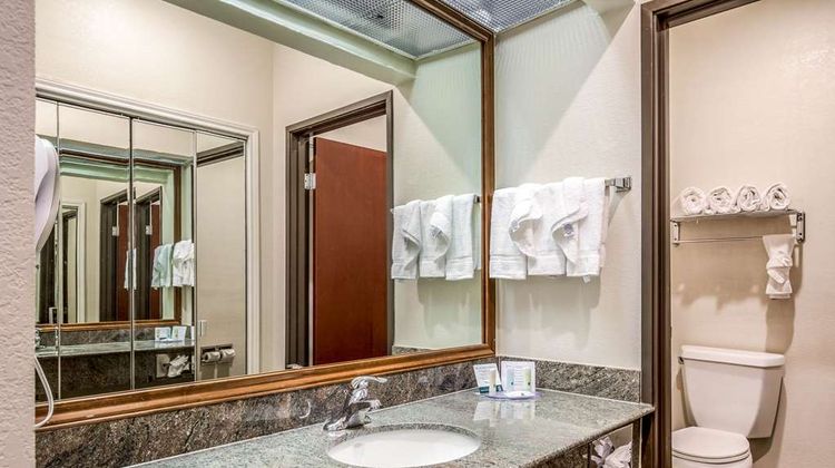 Quality Inn & Suites Room