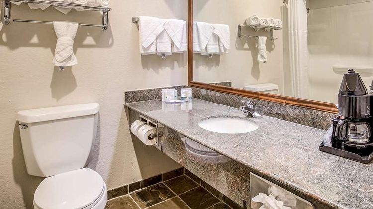 Quality Inn & Suites Room