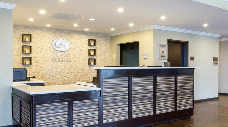 Comfort Suites Westbelt - Beltway 8 Lobby
