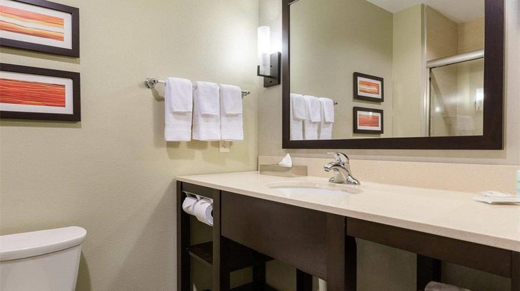 Comfort Suites Westbelt - Beltway 8 Room