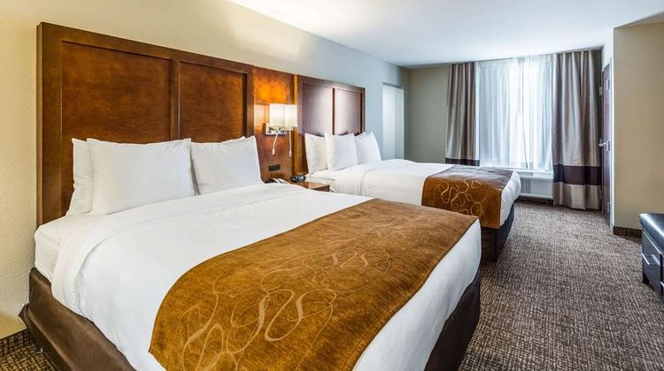 Comfort Suites, Channelview Suite