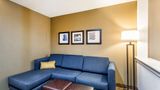 <b>Comfort Suites, Channelview Suite</b>. Images powered by <a href="https://iceportal.shijigroup.com/" title="IcePortal" target="_blank">IcePortal</a>.