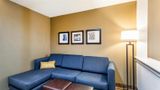 Comfort Suites, Channelview Suite