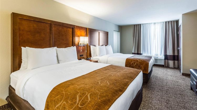 Comfort Suites, Channelview Suite