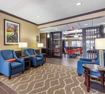 Comfort Inn and Suites Texas Hill Country Lobby