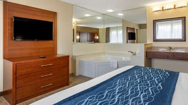 Comfort Inn and Suites Texas Hill Country Suite