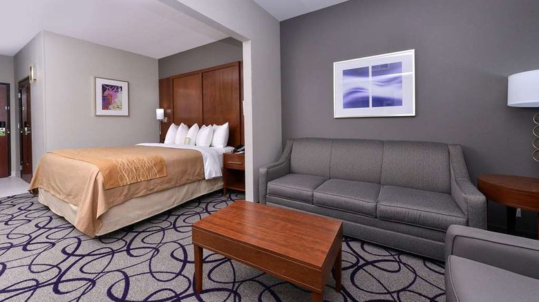 <b>Comfort Inn and Suites Frisco Room</b>. Images powered by <a href="https://iceportal.shijigroup.com/" title="IcePortal" target="_blank">IcePortal</a>.