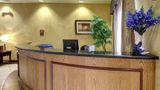 Comfort Inn and Suites Alvarado Other