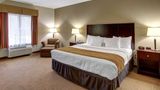 Comfort Inn and Suites Alvarado Room