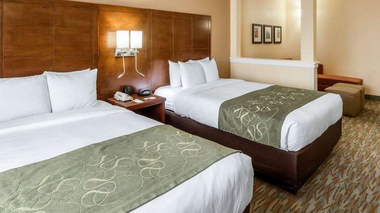 Comfort Suites Suite