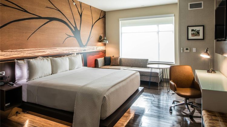 Cambria Hotel McAllen Convention Center Room