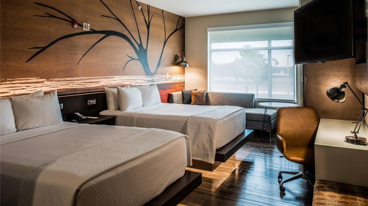 Cambria Hotel McAllen Convention Center Room