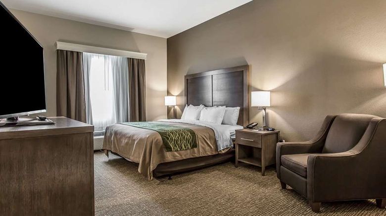 <b>Comfort Inn & Suites, Snyder Room</b>. Images powered by <a href="https://iceportal.shijigroup.com/" title="IcePortal" target="_blank">IcePortal</a>.