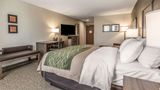 <b>Comfort Inn & Suites, Snyder Suite</b>. Images powered by <a href="https://iceportal.shijigroup.com/" title="IcePortal" target="_blank">IcePortal</a>.