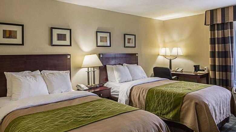 <b>Comfort Inn & Suites Room</b>. Images powered by <a href="https://iceportal.shijigroup.com/" title="IcePortal" target="_blank">IcePortal</a>.