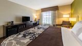 <b>Sleep Inn and Suites Jourdanton Room</b>. Images powered by <a href="https://iceportal.shijigroup.com/" title="IcePortal" target="_blank">IcePortal</a>.